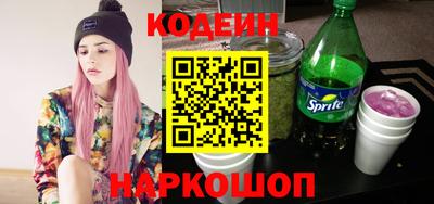 индика Гусев
