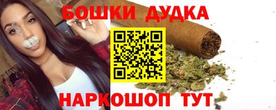 индика Гусь-Хрустальный