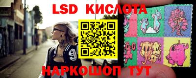 индика Гусев
