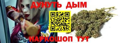 индика Гусь-Хрустальный