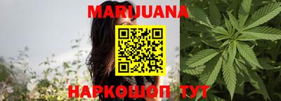 индика Гусев