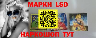 индика Гусев