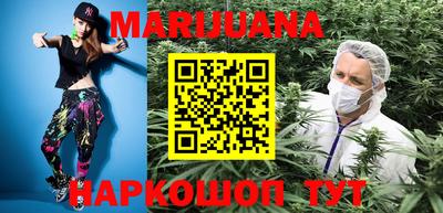 индика Гусев
