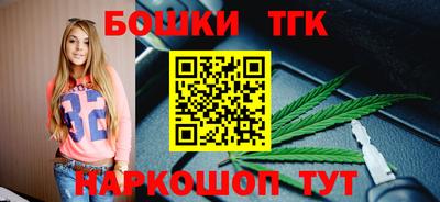 индика Гусь-Хрустальный