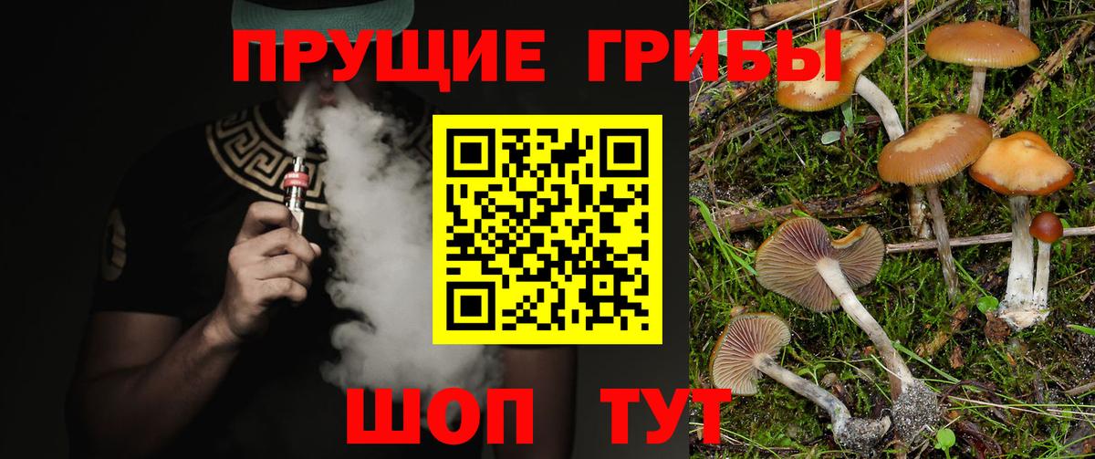 Новосибирск  Псилоцибиновые грибы мицелий  Вход с VPN 